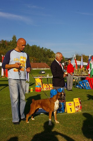 www.boxer-show.eu